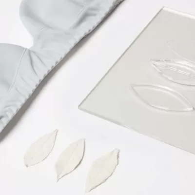 Foxleaf l’hi-tech bra contro i sintomi dei farmaci antitumorali